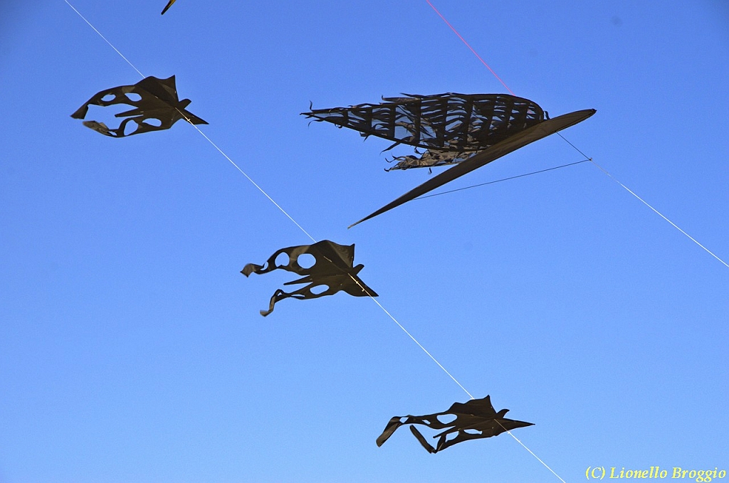32 FESTIVAL CERVIA 2012 - 074.jpg